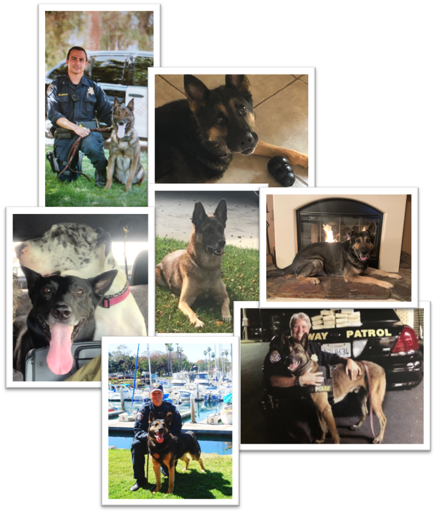 Collage of pictures of Highway Patrol K-9 Officers